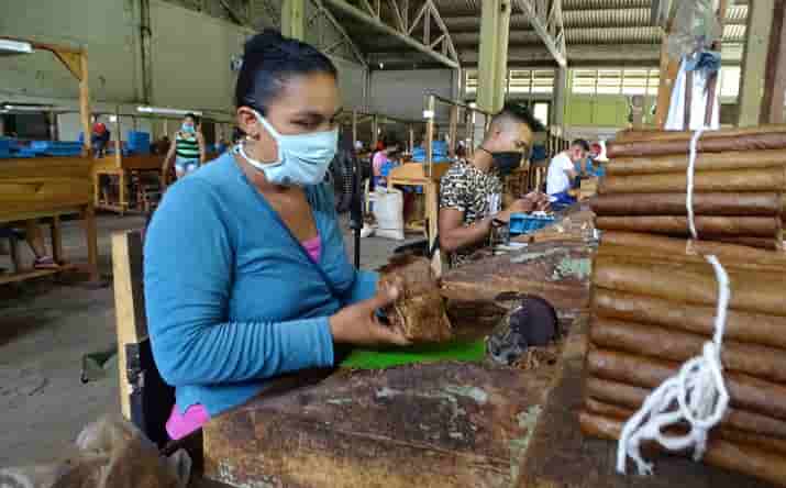Tabaqueros jobabenses a ritmo de chavetazos celebran su día (+VIDEO)