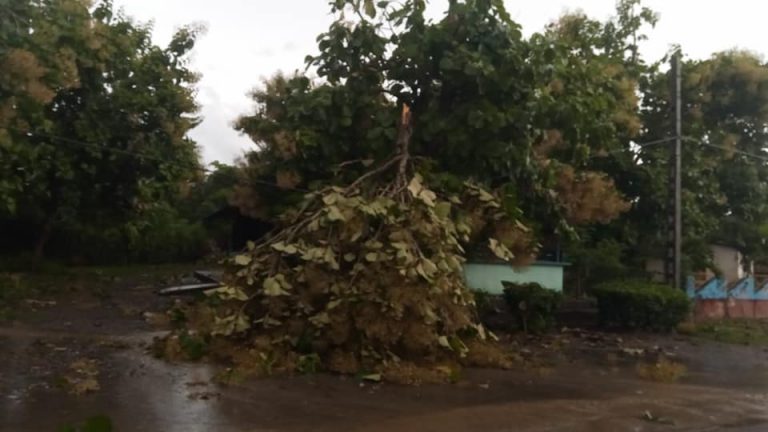 Tormenta local severa en Jobabo
