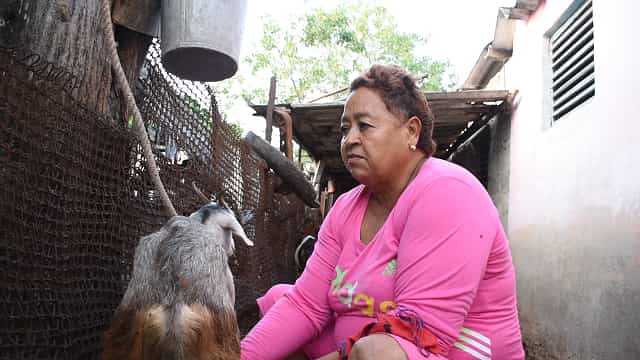 Adis Leyva: Siento orgullo de mis animalitos y la leche que producen (+VIDEO)