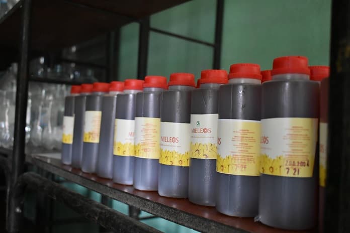 Jobabo: La estrategia comercial de Labiofam demuestra efectividad en 2020