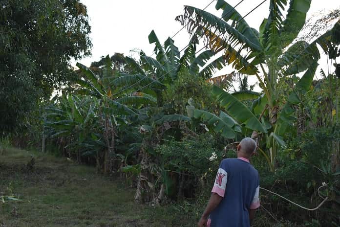 ¿Cuánto tiempo tendrá que seguir esperando Jesús Félix y sus vecinos por la Eléctrica?