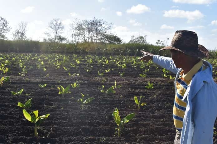 Lo que se puede hacer en solo tres hectáreas con voluntad y entusiasmo