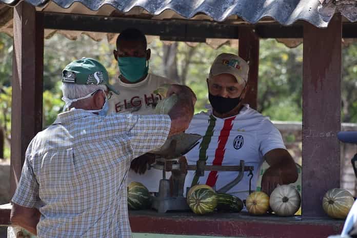 ¿Qué hace Granja Urbana para impulsar la estrategia de comercialización agropecuaria en Jobabo?