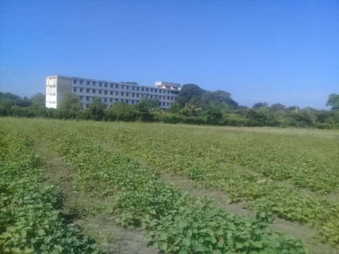 Politécnico de Jobabo fortalece sostenibilidad alimentaria para centro de aislamiento