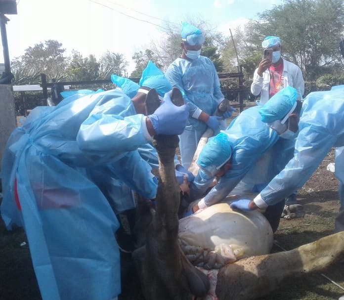 Enseñar y producir, un binomio de excelencia