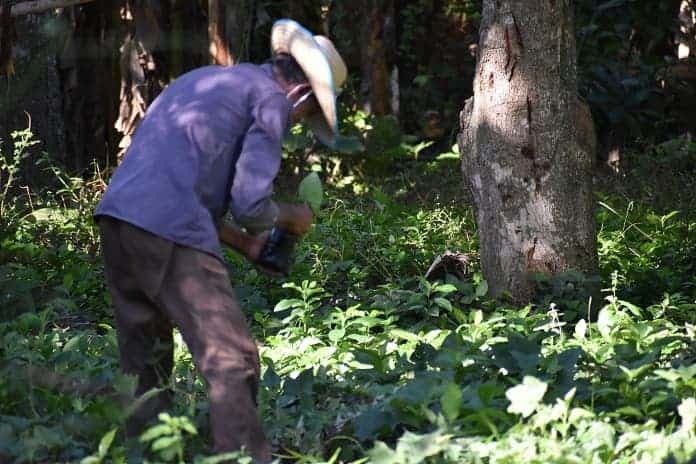 Patios que sustentan a la familia