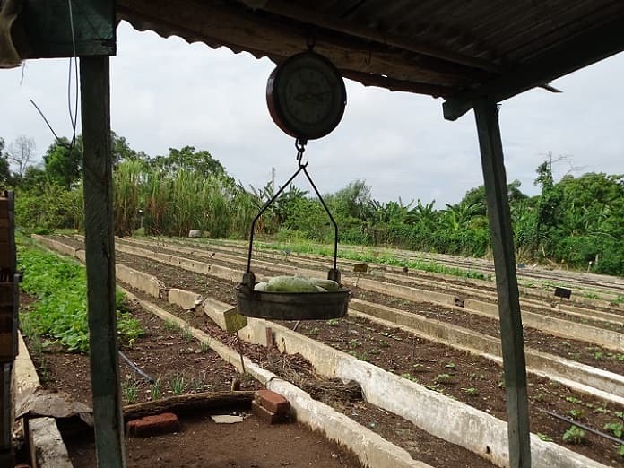 Granja Urbana y la deuda salarial con sus trabajadores