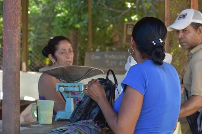 Acopio, entre utilidades y bolsillos vacíos