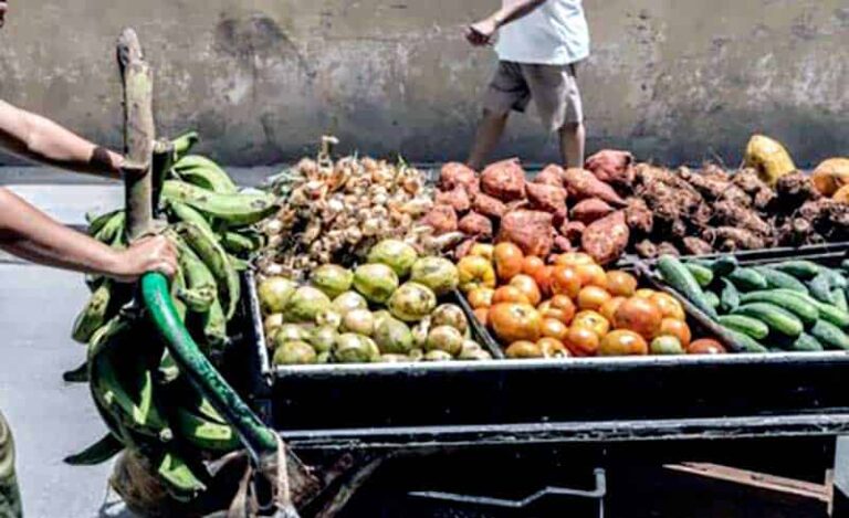 Crean en Las Tunas grupos de trabajo para implementar acuerdos del Consejo de Ministros