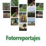 Fotorreportajes