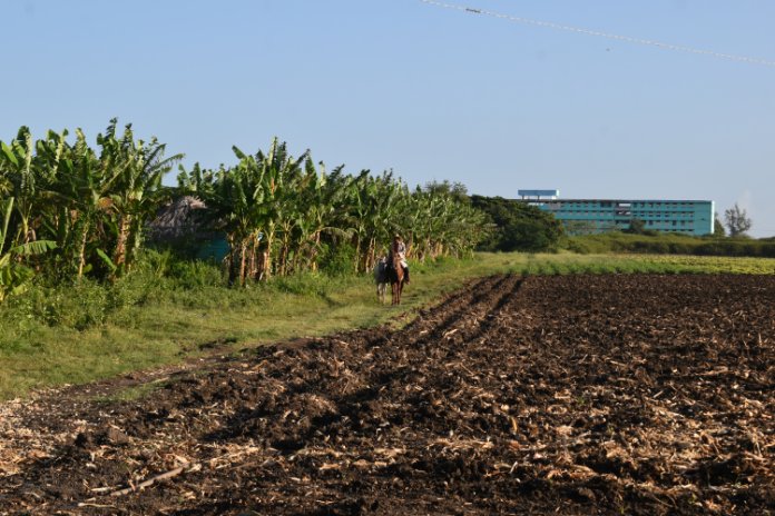 DSC 0999
