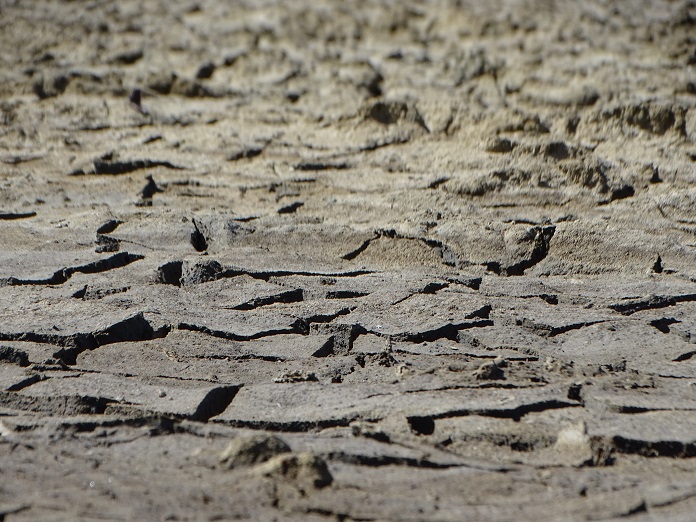La urgencia de proteger los ecosistemas