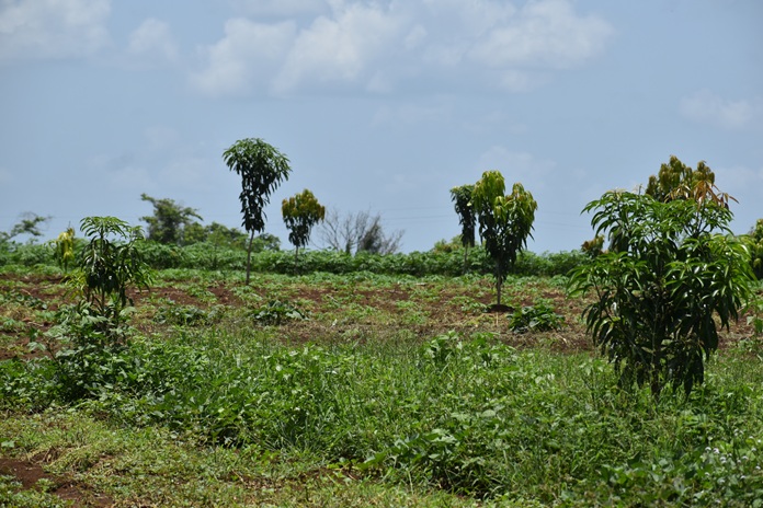 IRES 2025, buenas prácticas de un proyecto imprescindible