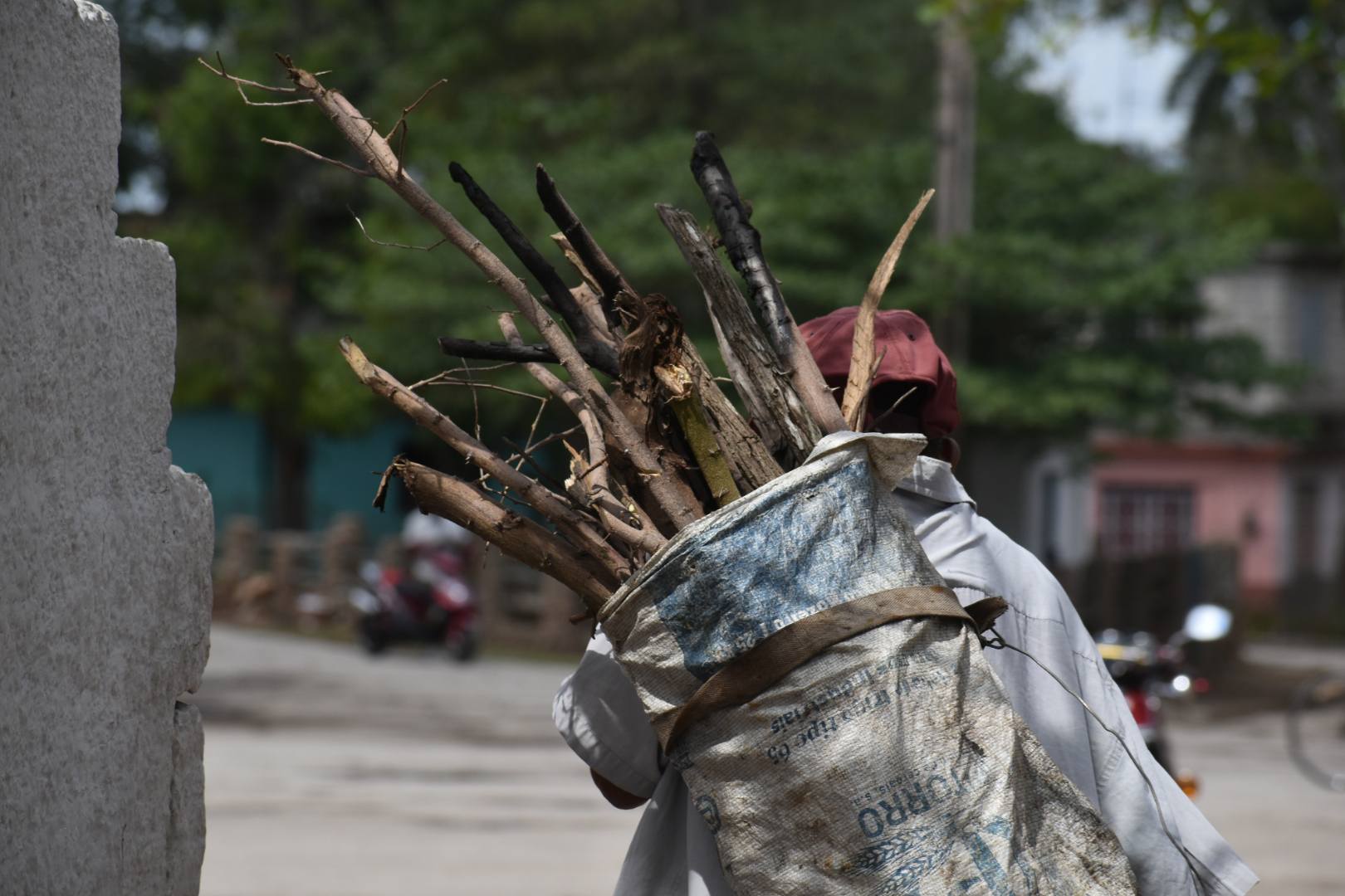 514514142 23992017350431490 2001021697132608956 n