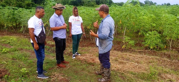 Jobabo: Evalúan funcionamiento de estructuras locales de la ANAP