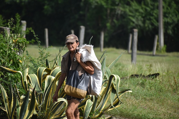 Mujer rural, flor del campo 2 mujer rural 2