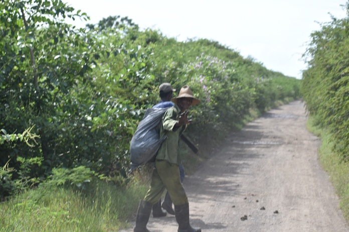 Rostros de campo 9 DSC 0001