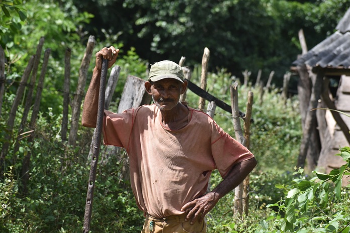 Rostros de campo 11 DSC 0020