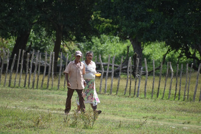 Rostros de campo 14 DSC 0084