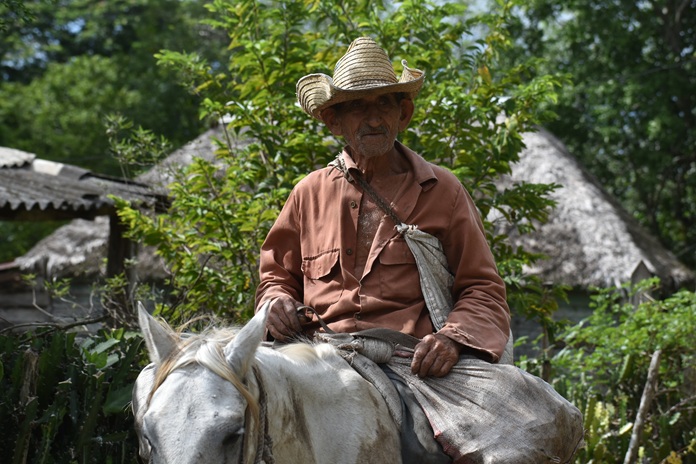 Rostros de campo 7 DSC 0702