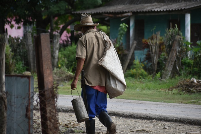 Rostros de campo 5 DSC 1012