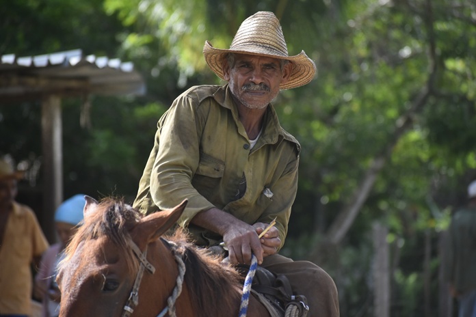 Rostros de campo 4 DSC 1118