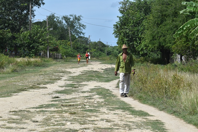 Rostros de campo 2 DSC 1133