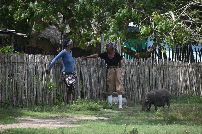 Rostros de campo 1 DSC 1137