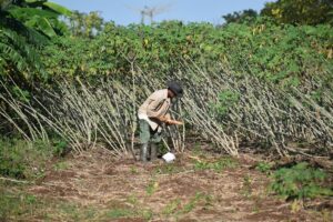 Ciencia, sostenibilidad y transformación: la agricultura que necesita Jobabo 3 DSC 0659